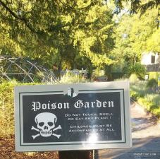 Poison Gardens were a common part of many medieval castles.